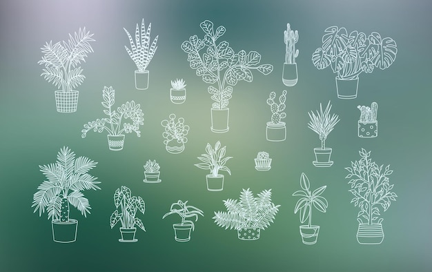 Different houseplants icons in line art style