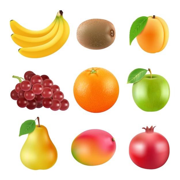 Different illustrations of fruits. Realistic vector pictures isolate