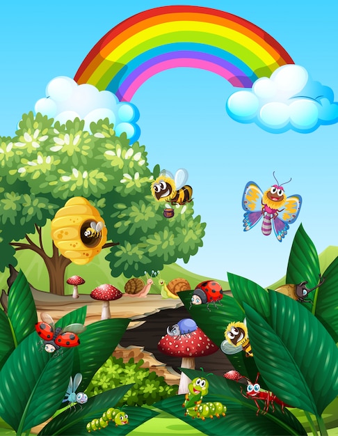 Different insects living in the garden scene at daytime with rainbow