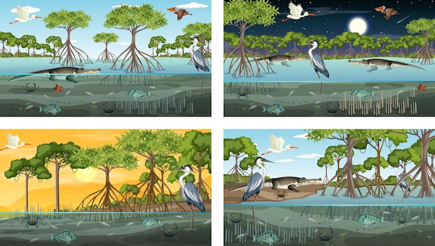 Different mangrove forest landscape scenes with animals and plants