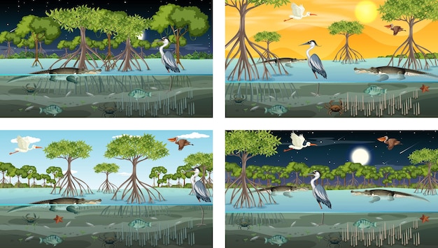 Different mangrove forest landscape scenes with animals and plants