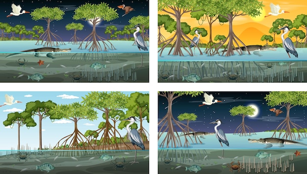 Different mangrove forest landscape scenes with animals and plants