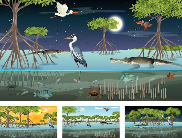 Different mangrove forest landscape scenes with animals and plants