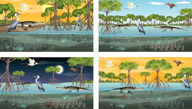 Different mangrove forest landscape scenes with animals