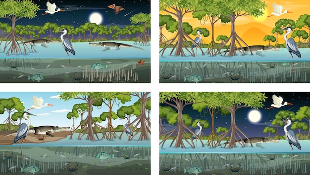 Different mangrove forest landscape scenes with animals