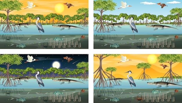 Different mangrove forest landscape scenes with animals