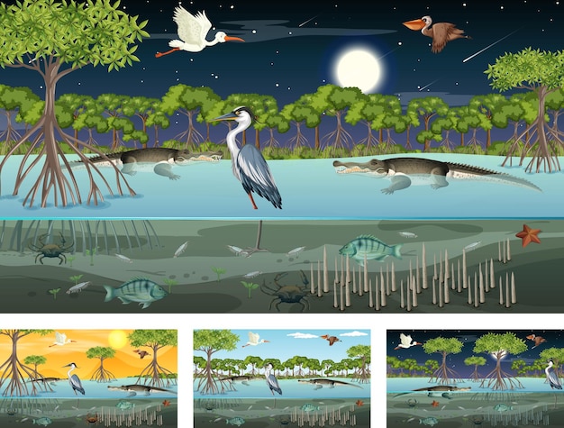 Different mangrove forest landscape scenes with animals