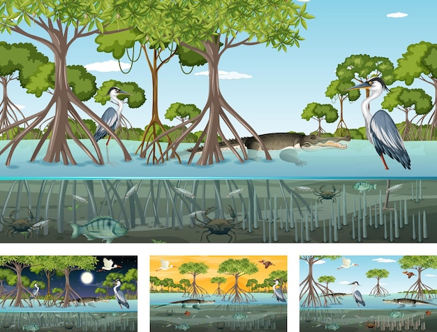 Different mangrove forest landscape scenes with various animals