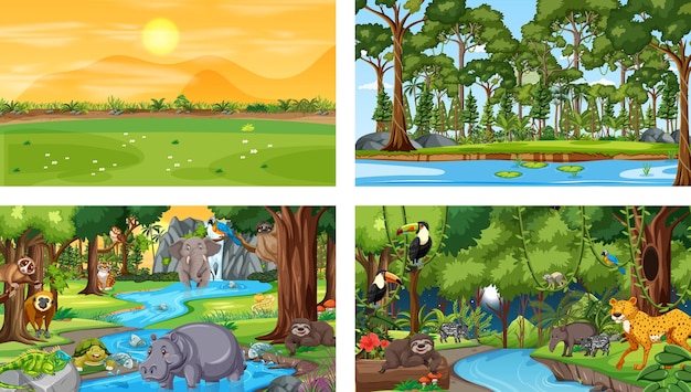 Different nature scenes of forest and rainforest with wild animals