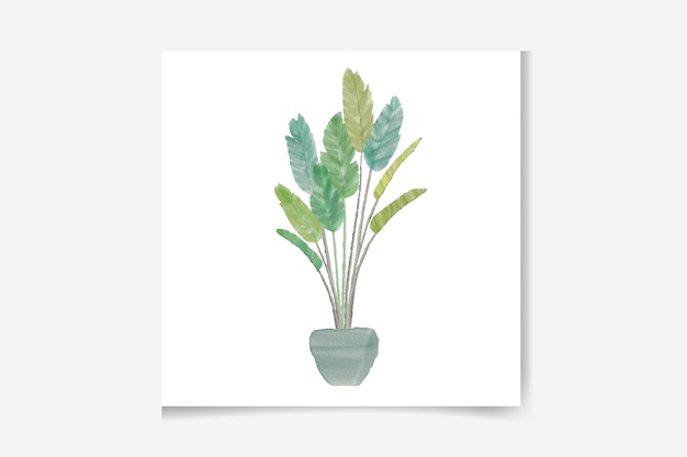 Different potted houseplants watercolor vector illustrations set. indoor flowers