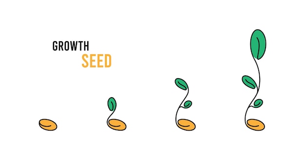 Different seed icon set line illustration