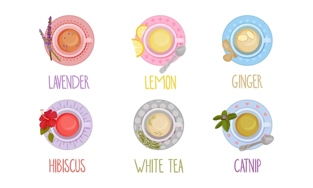 Different tea types poured in cups and standing on saucer vector set