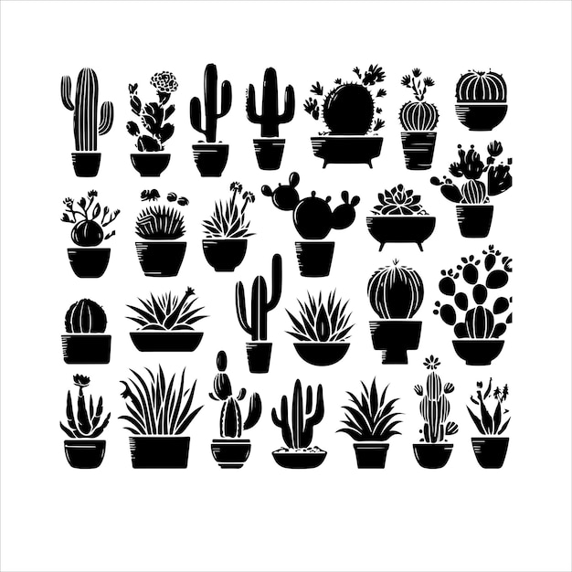 Different type of cactus set Set of cactus plant silhouettes vector