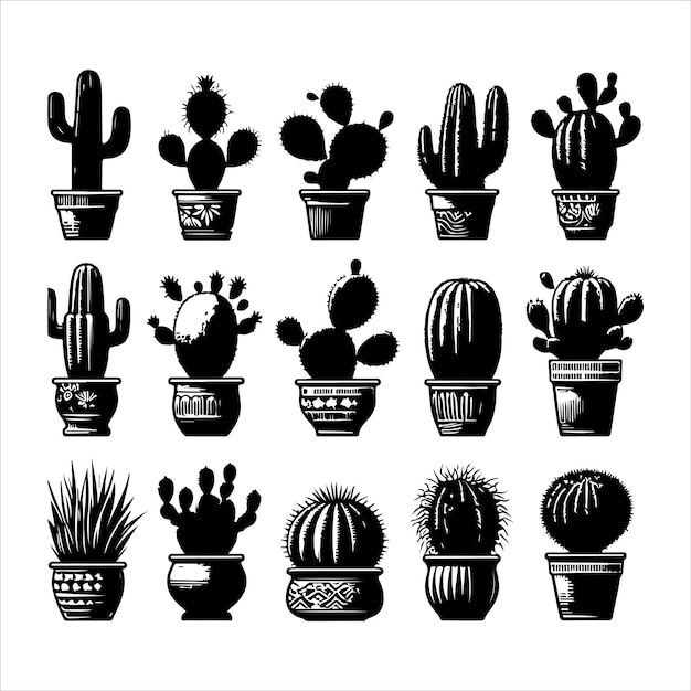 Different type of cactus set Set of cactus plant silhouettes vector