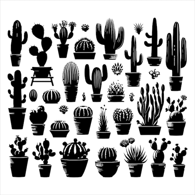 Vector different type of cactus set vector cactus vector cactus silhouette vector