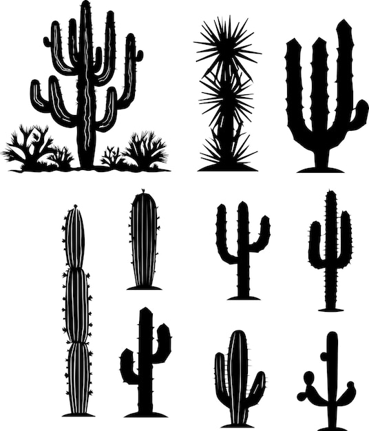 Vector different type of cactus vector silhouette illustration 2