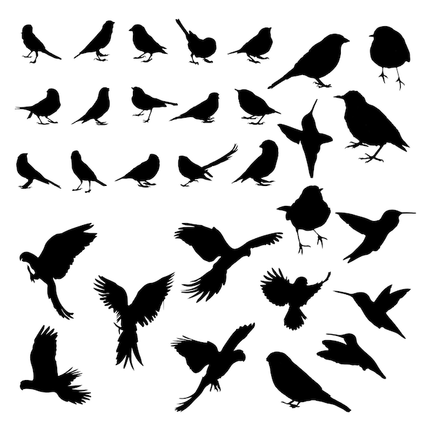 different types of Birds silhouette collection