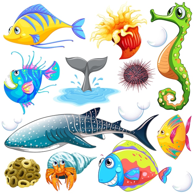 Different types of sea animals