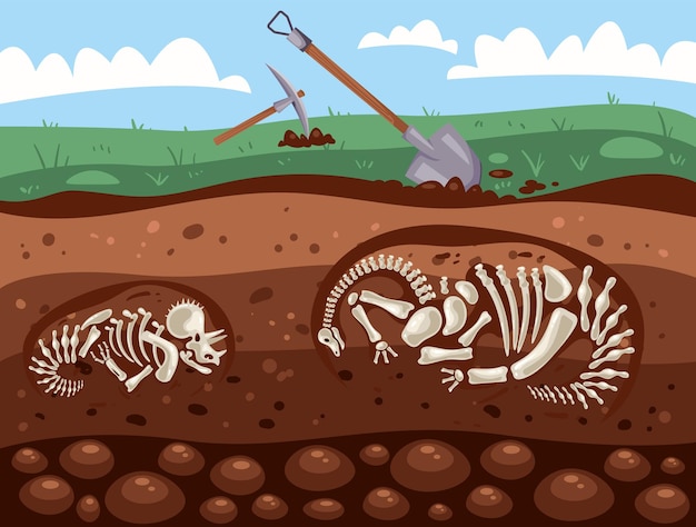 Vector dinosaur excavation archeology fossil research geology graphic design illustration