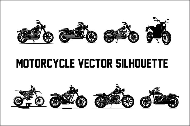 Discover the Most Popular Motorcycles on the Market