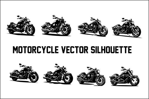 Vector discover the most popular motorcycles on the market