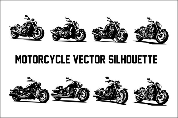 Vector discover the most popular motorcycles on the market