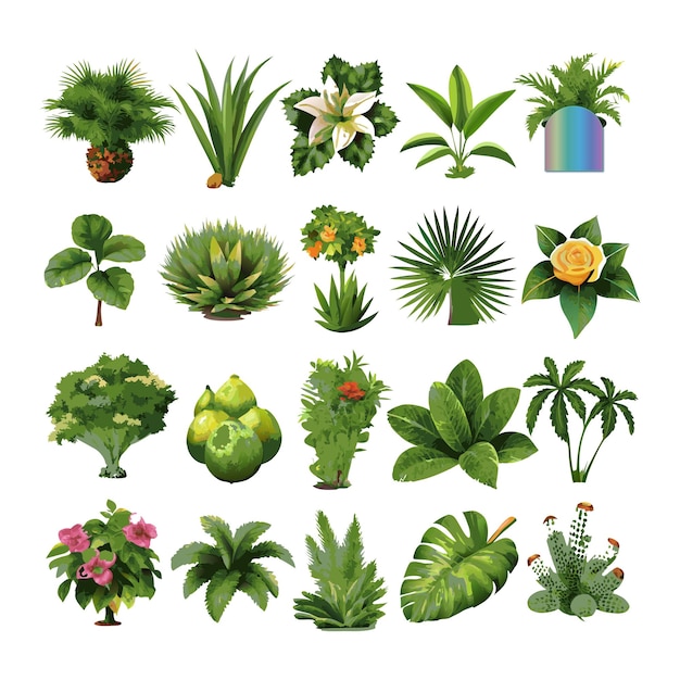 Vector diverse collection of flowers and others plants