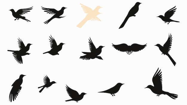 Vector diverse collection of majestic flying bird silhouettes for creative projects