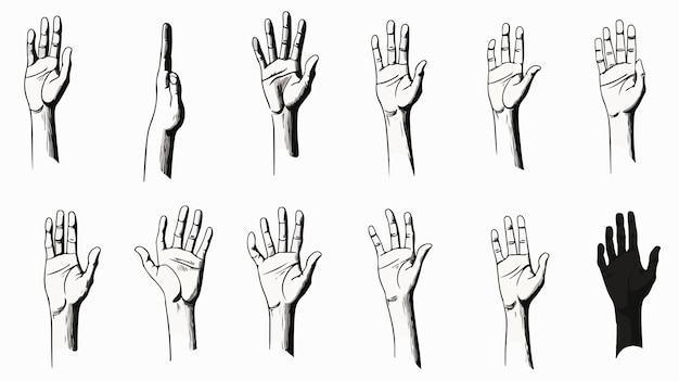 Vector diverse hand gestures and symbols displayed with palm and fingers