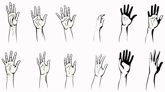 Vector diverse hand gestures and symbols displayed with palm and fingers