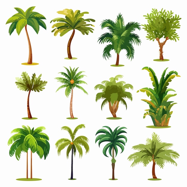 Diverse Palm Tree Illustrations Collection