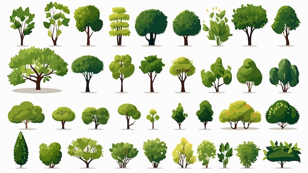 Vector diverse set of cartoon trees and shrubs in various styles