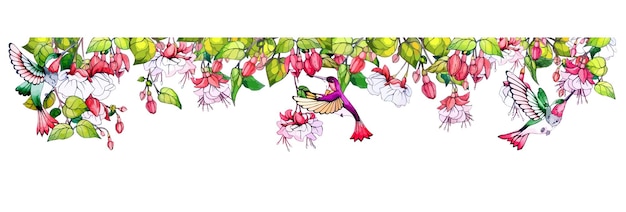 Divider with fuchsia flowers and hummingbird bird Decorative frame from tropical Floral border