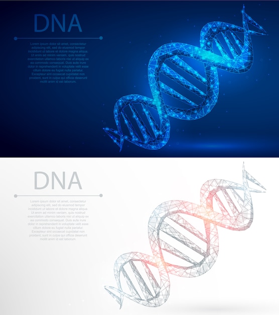 Vector dna polygonal genetic engineering abstract background.