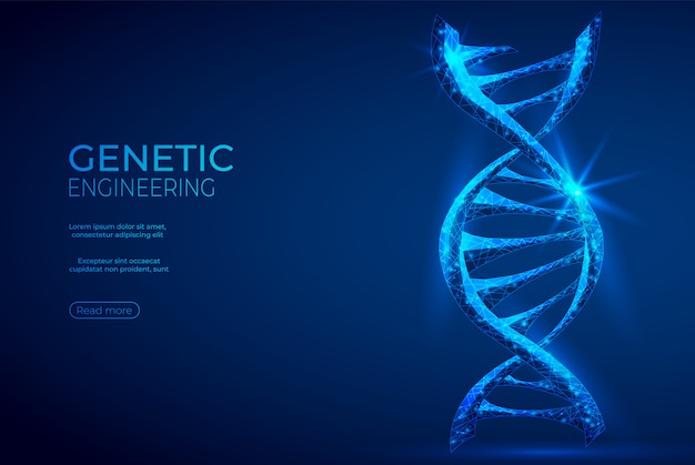 DNA polygonal genetic engineering abstract blue banner.