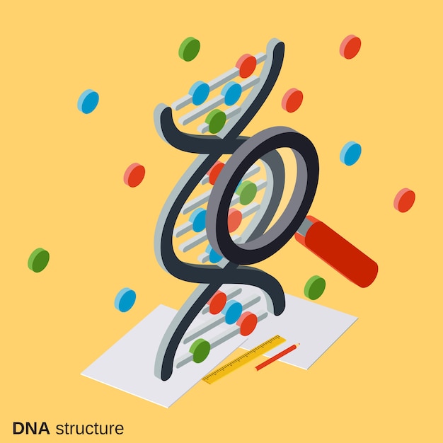 DNA structure, genetics flat isometric illustration