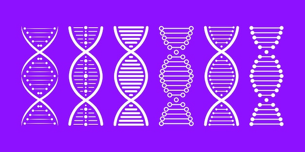 DNA structure Icon set Structure molecule and cell chromosome Genetic engineering