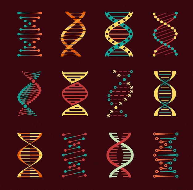 DNA vector icons with helices of human genes