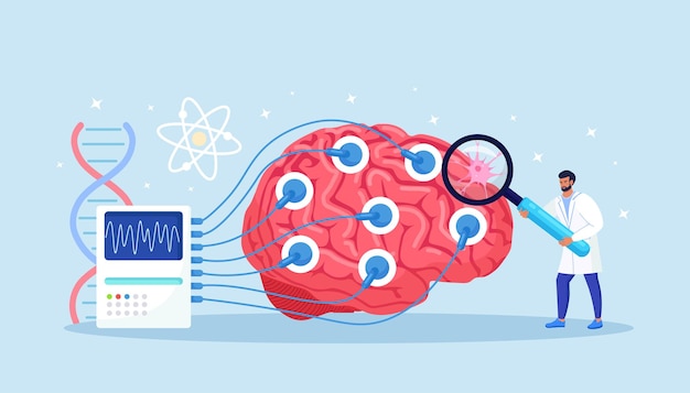 Doctor neurologist, neuroscientist, physician study brain connected to display with EEG indication. Neurology, neuroscience, electroencephalography concept