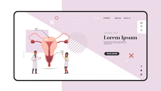 doctors couple examining female reproductive system uterus cervix ovaries fallopian tubes medical consultation human internal organ inspection treatment concept horizontal copy space full length vecto