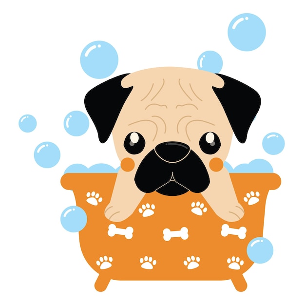 Vector dog bathingpet groomingbath time