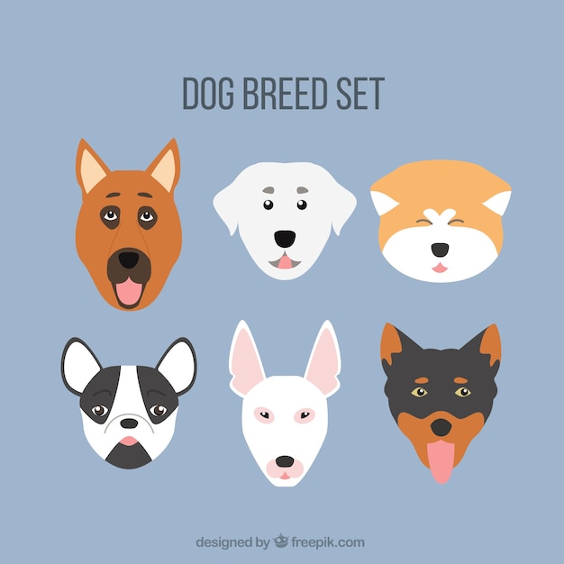 Dog breed avatar collection