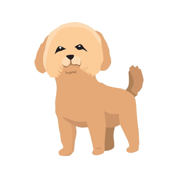 Dog breed maltese Cute funny cartoon domestic pet character flat vector illustration Human friend home animal