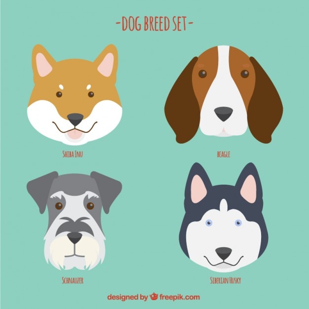 Dog breed set in a flat design