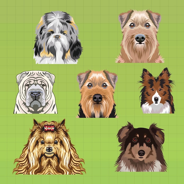 Dog Breeds Sublimation Vector Bundle Dog Head Art Set Dogs Face Icon