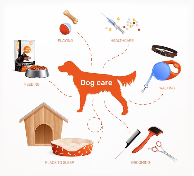 Dog care infographics