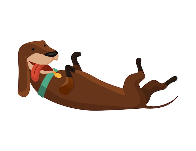 Dog dachshund Cute funny character portrait Shortlegged pet with long body is playing Adorable cartoon vector illustration