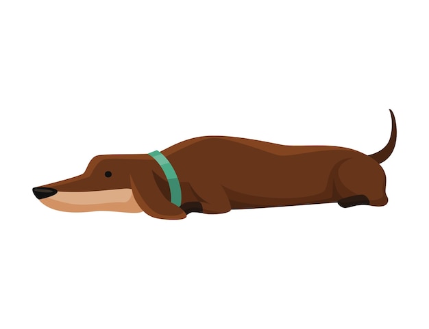 Dog dachshund Cute funny character portrait Shortlegged pet with long body lying Adorable cartoon vector illustration