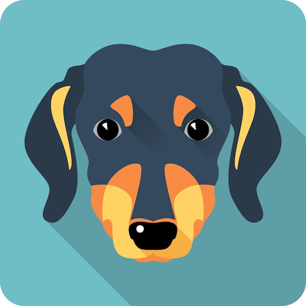 Dog dachshund icon flat design