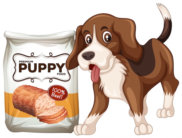 A Dog and Food on White Background